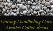 Mandheling Arabica Coffee Beans