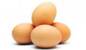 Chicken Eggs