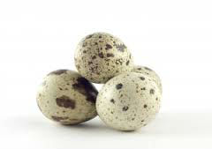 Quail Eggs