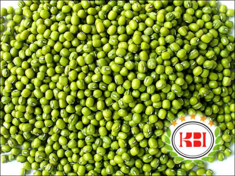 Green Mung Bean