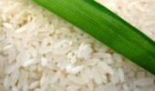 Organic Rice