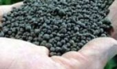 Organic fertilizer - Green Phoskko ( GP - 6 )