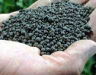 Organic fertilizer - Green Phoskko ( GP - 6 )