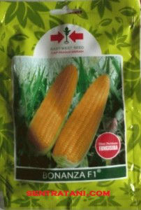 Sweet Corn Seed Bonanza F1
