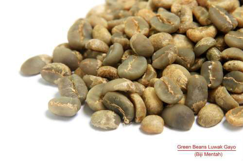 Green Coffee Beans Civet Aceh Gayo