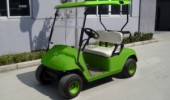 Electric Golf Buggy