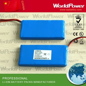 3.7V 3000mAh Lithium Polymer Lipo Battery Pack