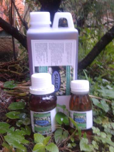 Pure Clove Leaf Oil