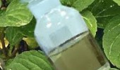 Pure Peppermint Oil