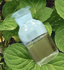 Pure Peppermint Oil